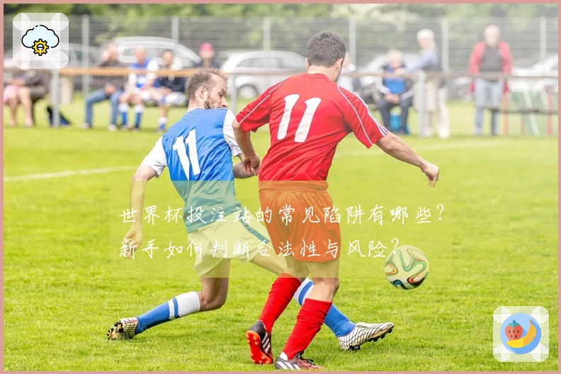 世界杯投注站的常见陷阱有哪些？新手如何判断合法性与风险？