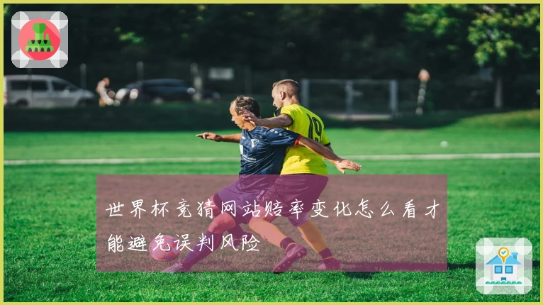 世界杯竞猜网站赔率变化怎么看才能避免误判风险