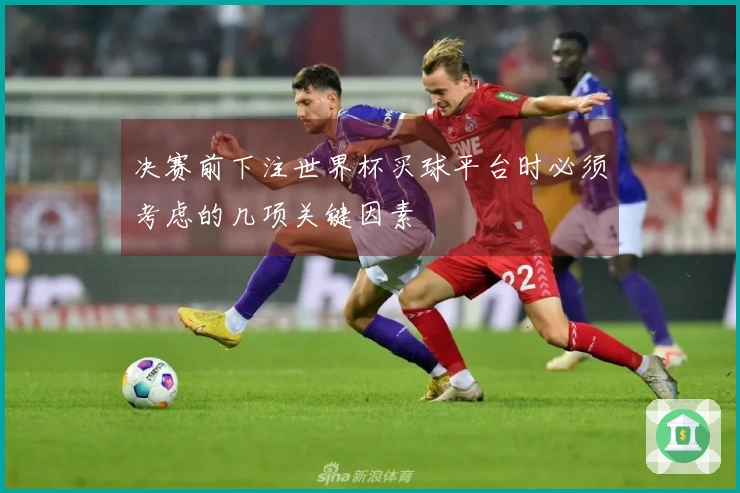 决赛前下注世界杯买球平台时必须考虑的几项关键因素