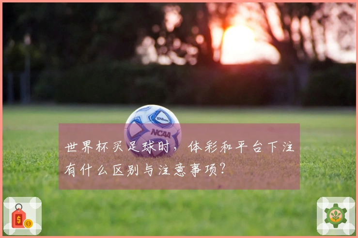 世界杯买足球时，体彩和平台下注有什么区别与注意事项？