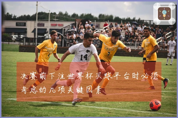决赛前下注世界杯买球平台时必须考虑的几项关键因素