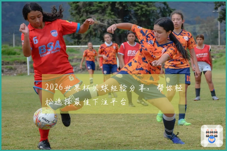2026世界杯买球经验分享，帮你轻松选择最佳下注平台