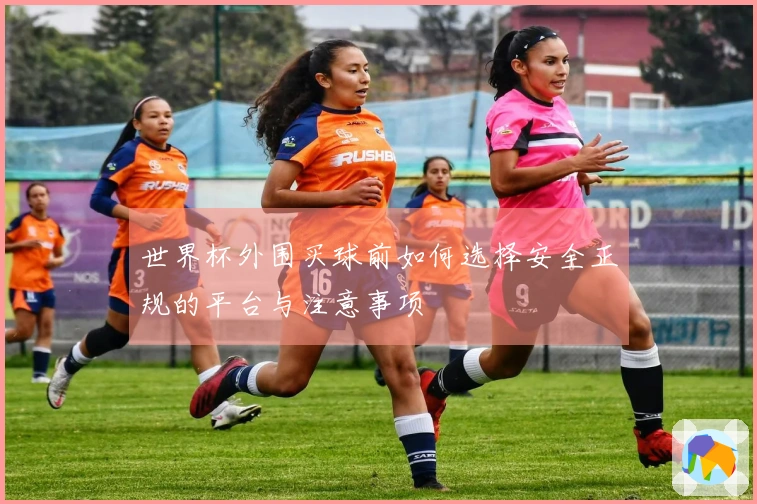 世界杯外围买球前如何选择安全正规的平台与注意事项
