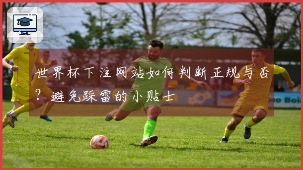 世界杯下注网站如何判断正规与否？避免踩雷的小贴士