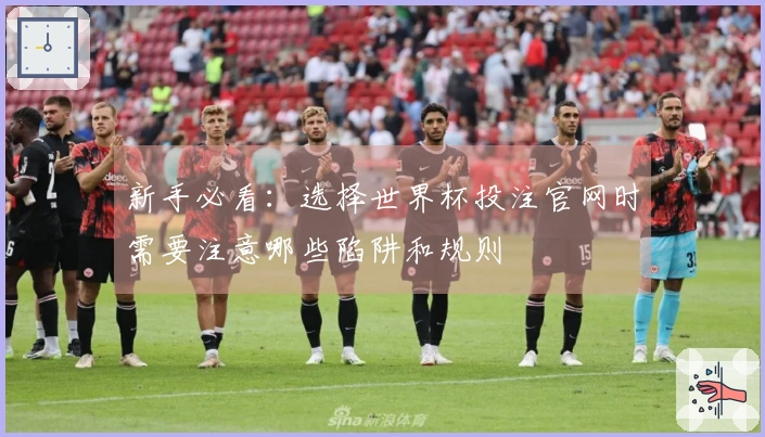 新手必看：选择世界杯投注官网时需要注意哪些陷阱和规则