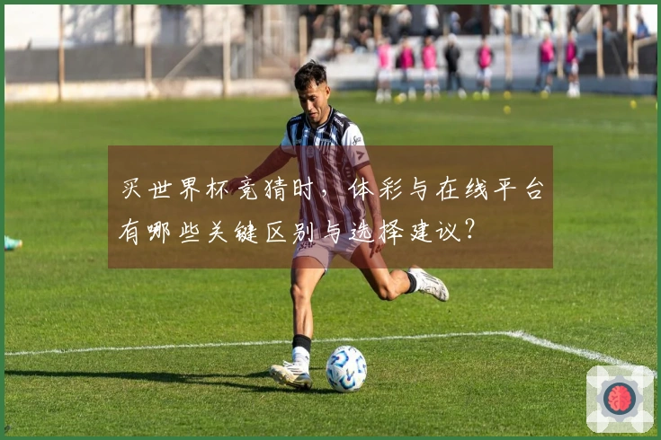 买世界杯竞猜时，体彩与在线平台有哪些关键区别与选择建议？
